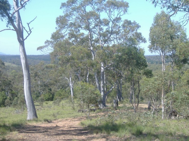 56 Fernbrook Road, Nerriga NSW 2622