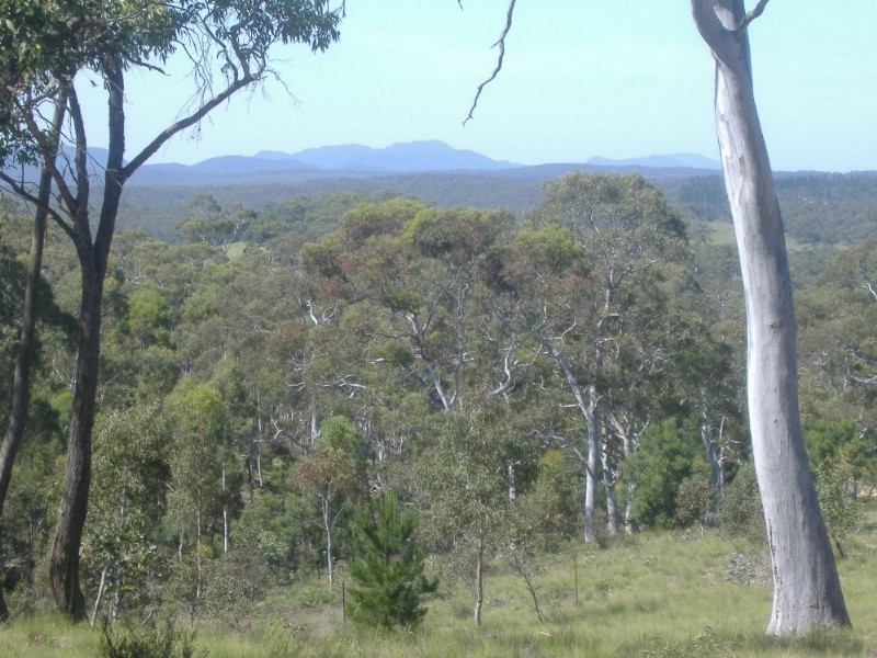 56 Fernbrook Road, Nerriga NSW 2622