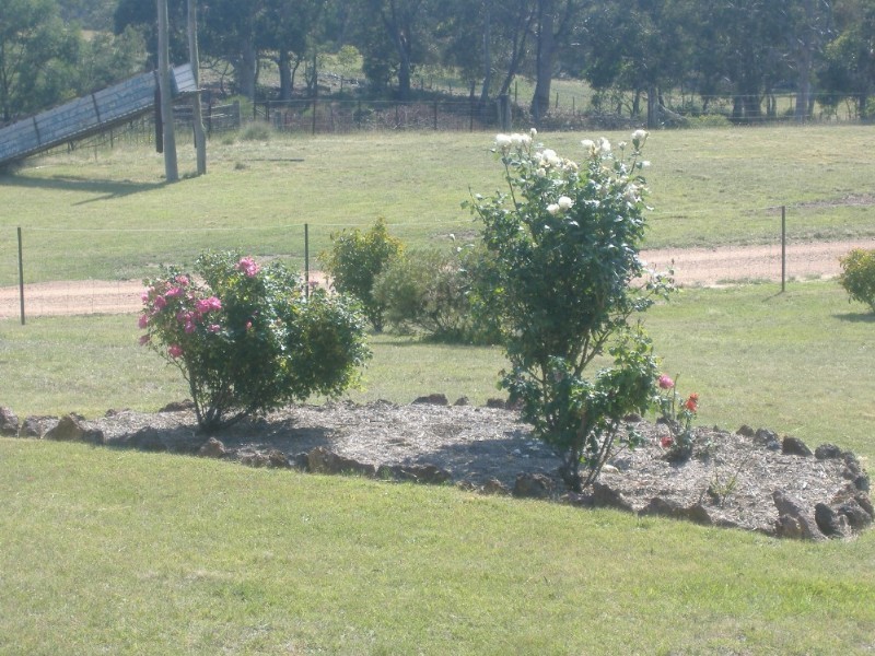 56 Fernbrook Road, Nerriga NSW 2622