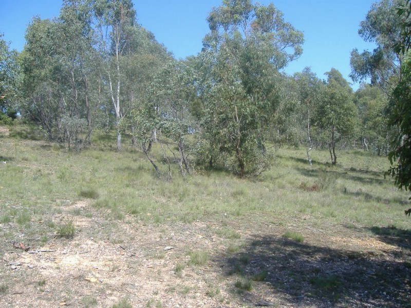 77 Fernbrook Road, Nerriga NSW 2622