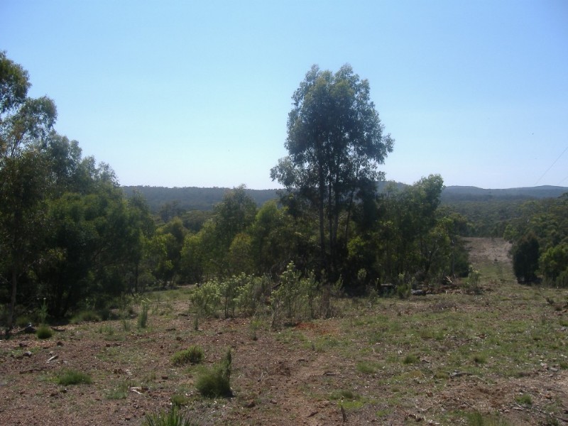 77 Fernbrook Road, Nerriga NSW 2622