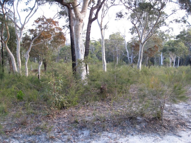 Lot 60 Kinkuna Street, Worrowing Heights NSW 2540