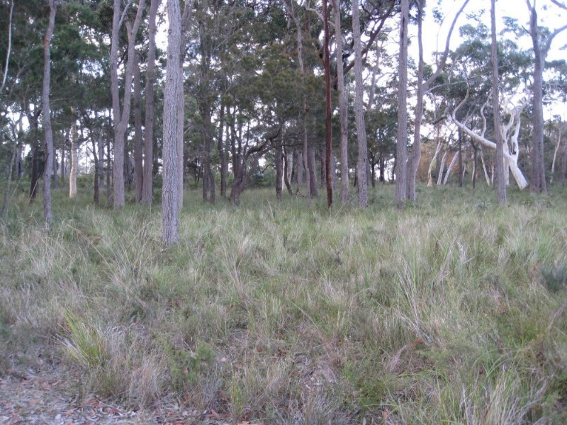 Lot 60 Kinkuna Street, Worrowing Heights NSW 2540