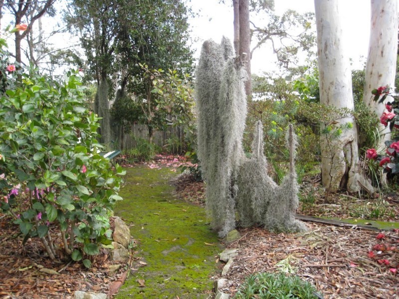 173 Sanctuary Point Road, Sanctuary Point NSW 2540