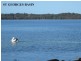 17 Capeland Avenue, Sanctuary Point NSW 2540