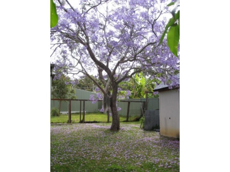 141 Basin View Parade, Basin View NSW 2540
