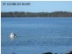 17 Capeland Avenue, Sanctuary Point NSW 2540