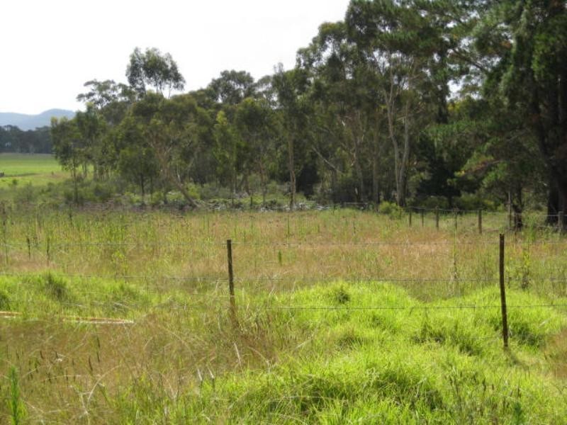 Lot 3 Princes Highway, Wandandian NSW 2540