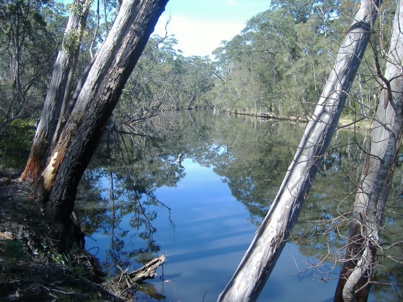 Lot 6 & 8 Larmer Avenue, Worrowing Heights NSW 2540