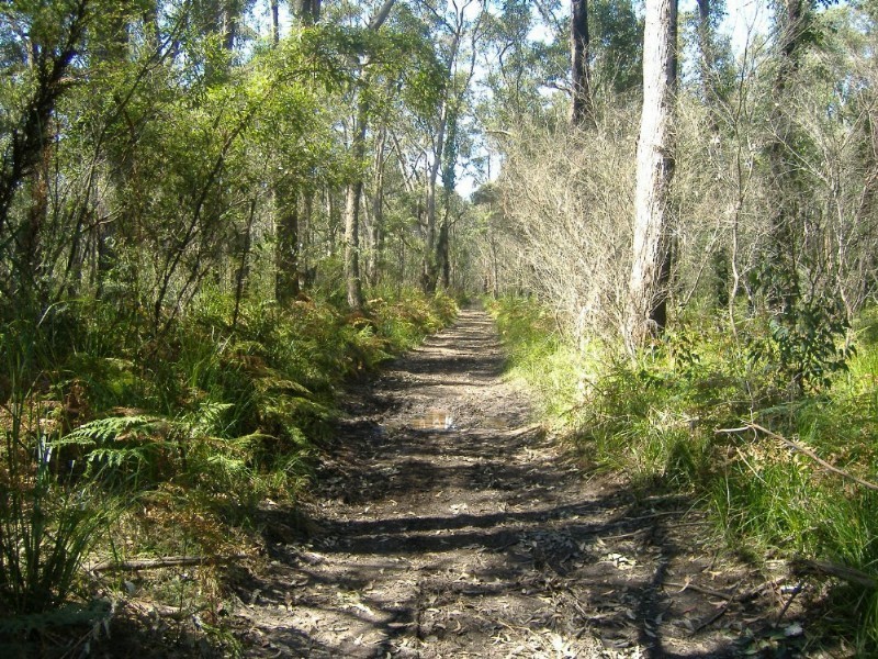 Lot 6 & 8 Larmer Avenue, Worrowing Heights NSW 2540