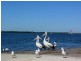 Lot 362 Abbey Court, Pelican Waters QLD 4551