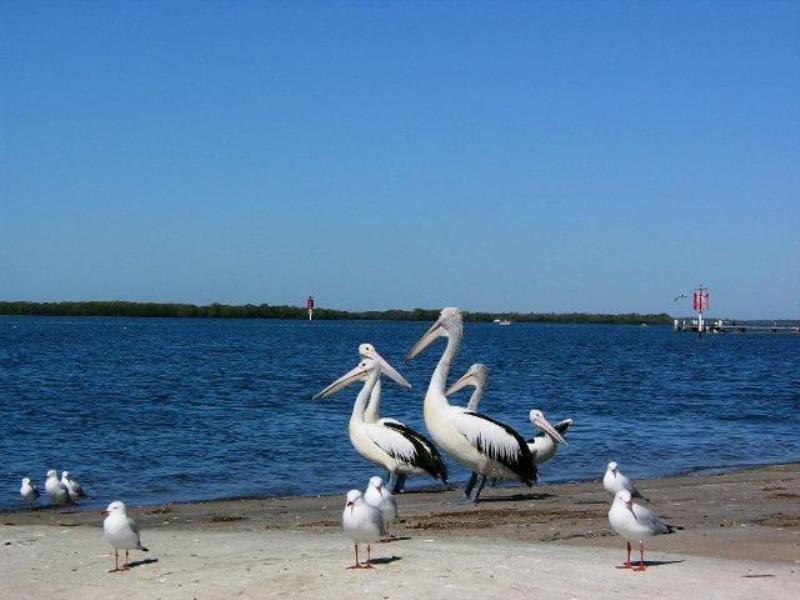 Lot 362 Abbey Court, Pelican Waters QLD 4551