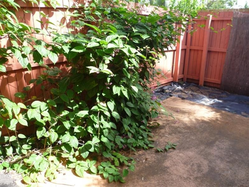 25/123 Barbaralla Drive, Springwood QLD 4127