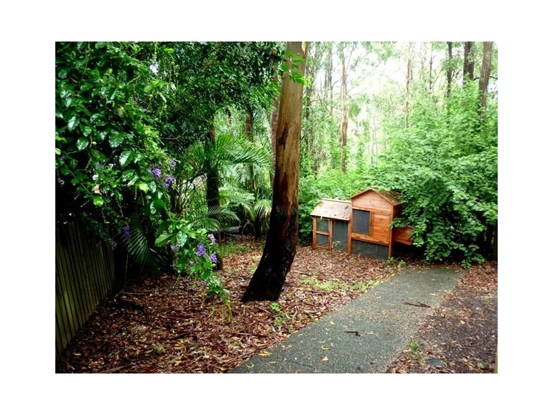 10 Torrelliana Court, Cornubia QLD 4130