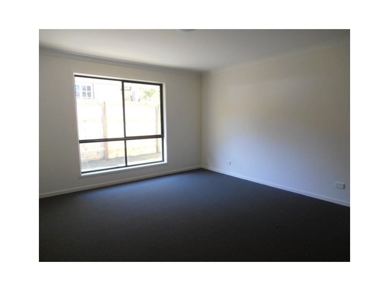 8a Conifer Street, Daisy Hill QLD 4127