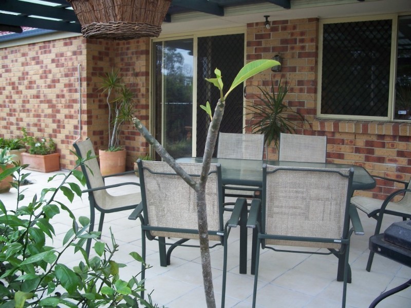 15 Oleander Street, Daisy Hill QLD 4127