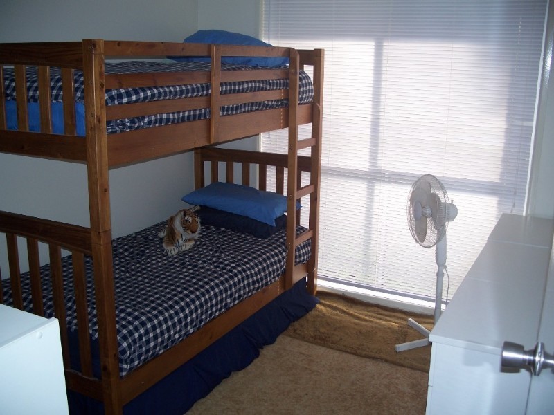 13 Littlejohn Street, Daisy Hill QLD 4127