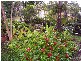 Rochedale South QLD 4123