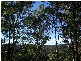 Cornubia QLD 4130