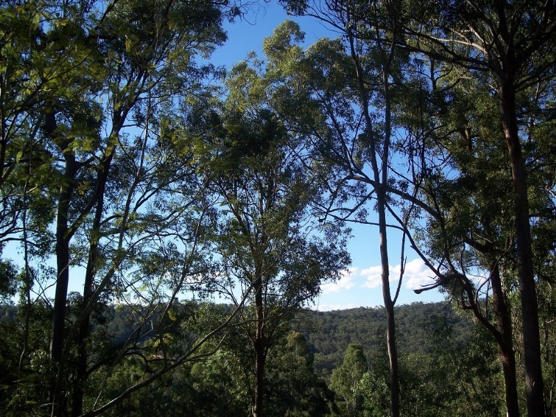 Cornubia QLD 4130