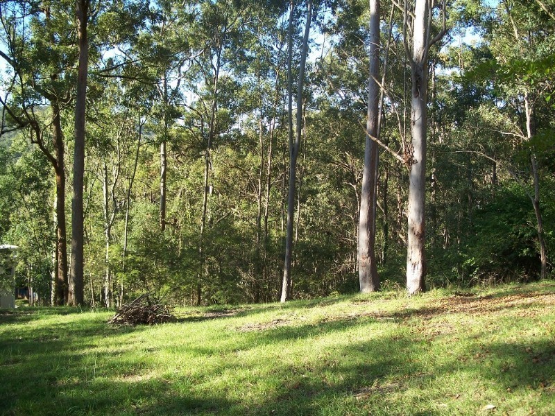 Cornubia QLD 4130