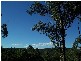 Cornubia QLD 4130
