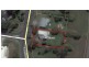 12 Carnival Street, Loganlea QLD 4131