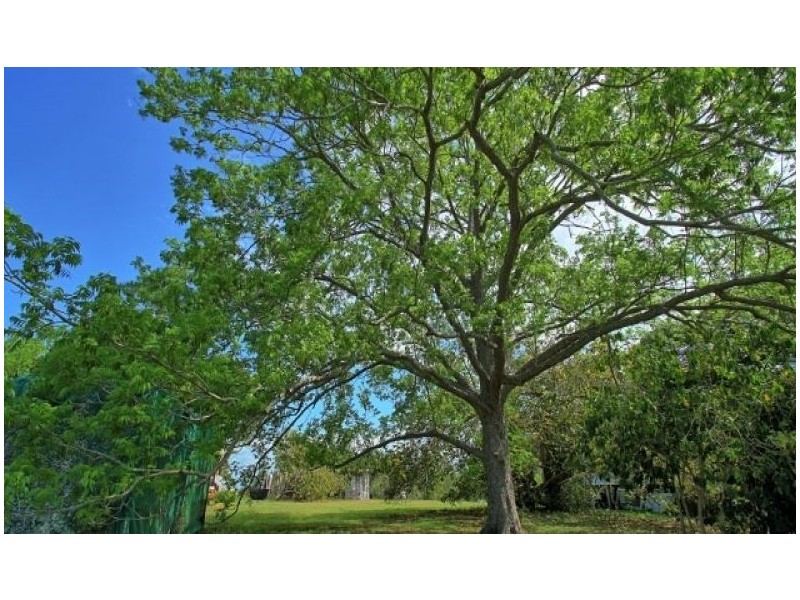 794 Beenleigh Redland Bay Road, Carbrook QLD 4130