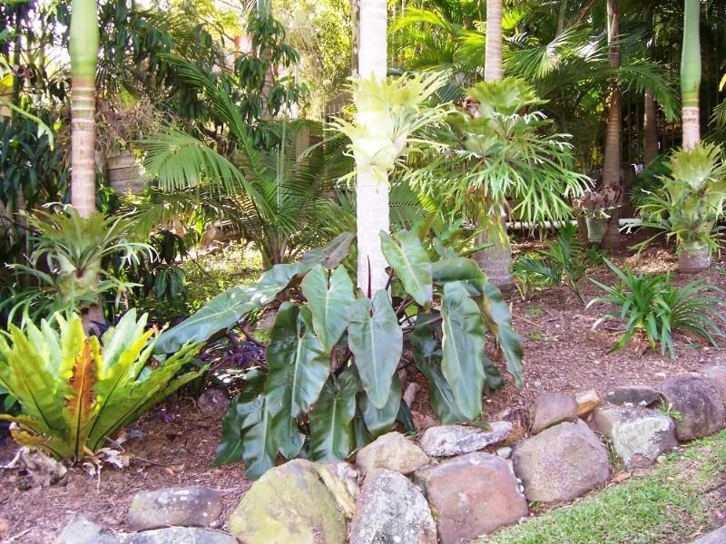 16 Winona Street, Shailer Park QLD 4128