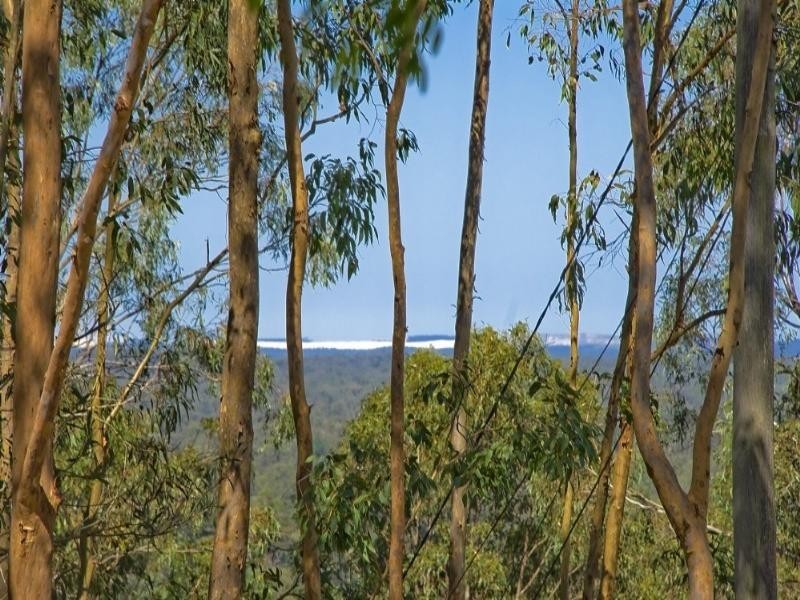 38 Penelope Drive, Cornubia QLD 4130