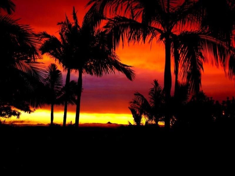 10 Watt Street, Cornubia QLD 4130