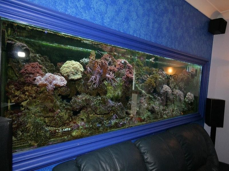 Mount Cotton QLD 4165