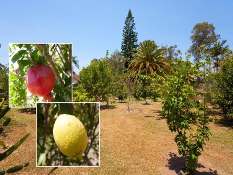 26 Turill Street, Shailer Park QLD 4128