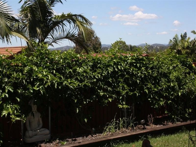 5 Trusan Place, Tanah Merah QLD 4128