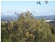 5/8-12 Penelope Court, Cornubia QLD 4130