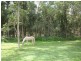 471 Beenleigh-Redland Bay Road, Carbrook QLD 4130