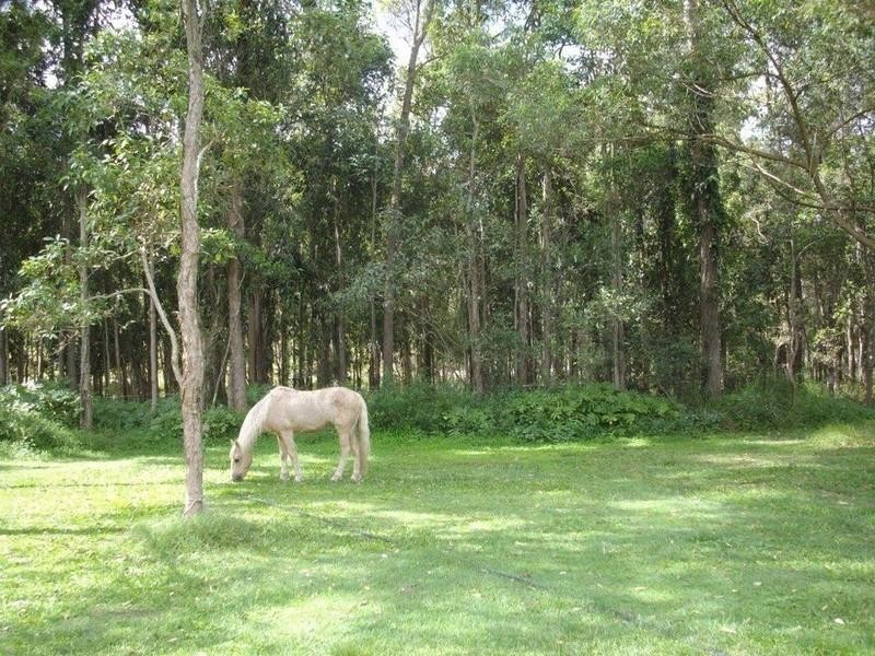 471 Beenleigh-Redland Bay Road, Carbrook QLD 4130