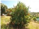 10 Brosnahan Court, Belivah QLD 4207