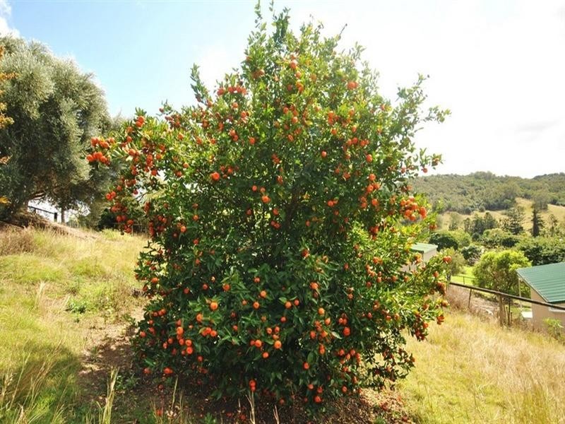 10 Brosnahan Court, Belivah QLD 4207