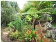 81 Lyndale Street, Daisy Hill QLD 4127