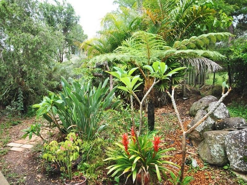 81 Lyndale Street, Daisy Hill QLD 4127