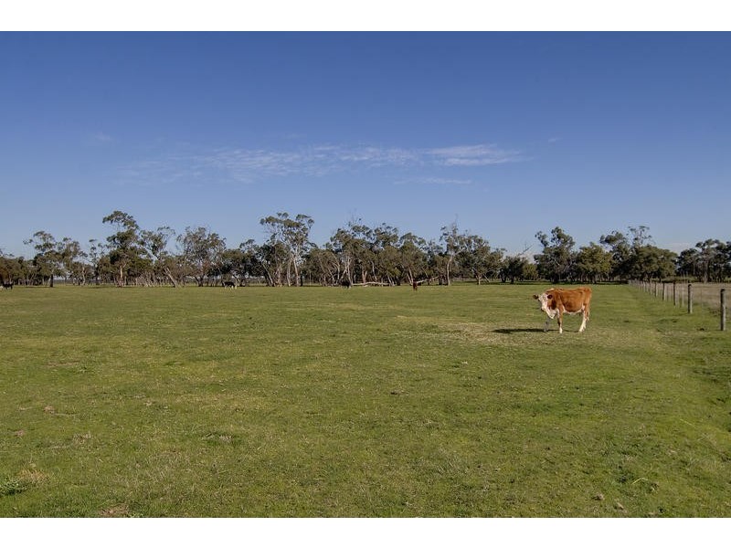 131 Vowell Drive, Pearcedale VIC 3912