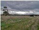 Tyabb VIC 3913