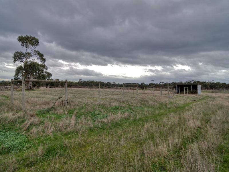 Tyabb VIC 3913