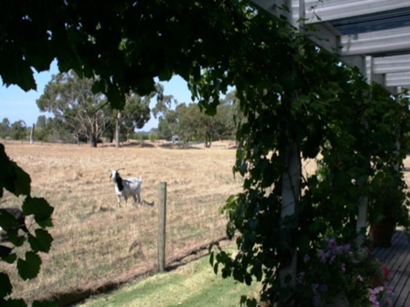 Moorooduc VIC 3933