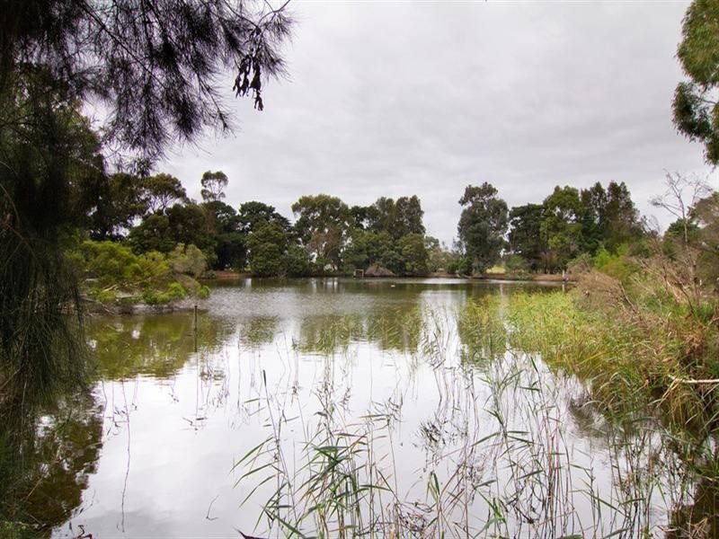 145 Eramosa Road East, Somerville VIC 3912