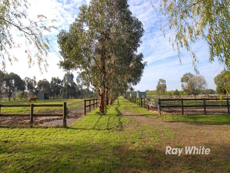 81a Lower Somerville Road, Baxter VIC 3911