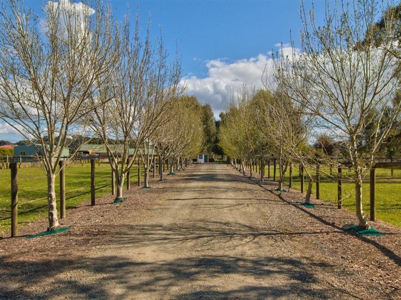 72 Lower Somerville Road, Baxter VIC 3911