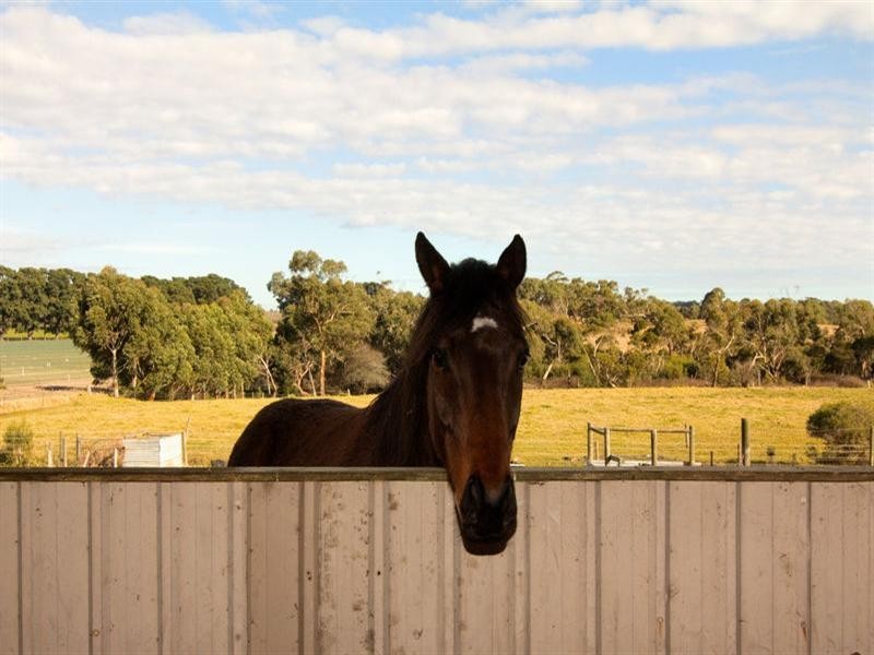 72 Lower Somerville Road, Baxter VIC 3911