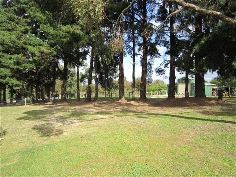 46 Wellington Road, Tyabb VIC 3913